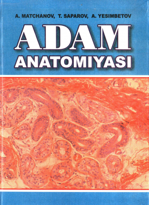 Adam anatomiyasi — A.T. Matchanov